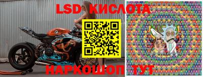 ECSTASY Краснознаменск