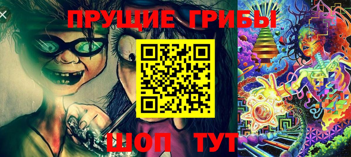 Волжский  Псилоцибиновые грибы Psilocybe  купить   Галлюциногенные грибы прущие грибы  Вход с VPN 